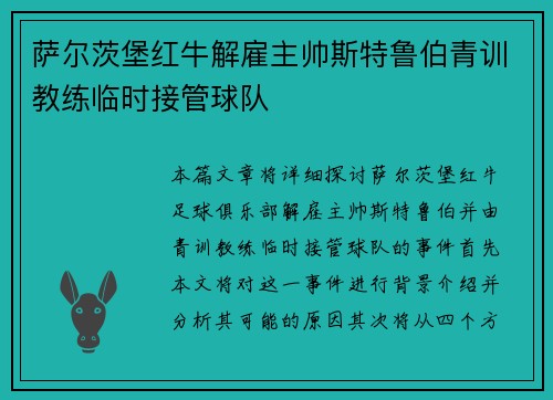 萨尔茨堡红牛解雇主帅斯特鲁伯青训教练临时接管球队